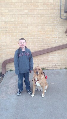 A young boy stands in front of a brick wall. He is blonde and smiling at the camera. He is wearing a grey sweatshirt, jeans, and sneakers. Next to him is a light colored dog that is sitting down. It is wearing a red harness.