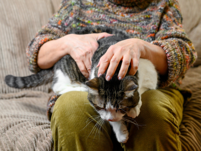 Woman with emotional support animal (cat) in her lap