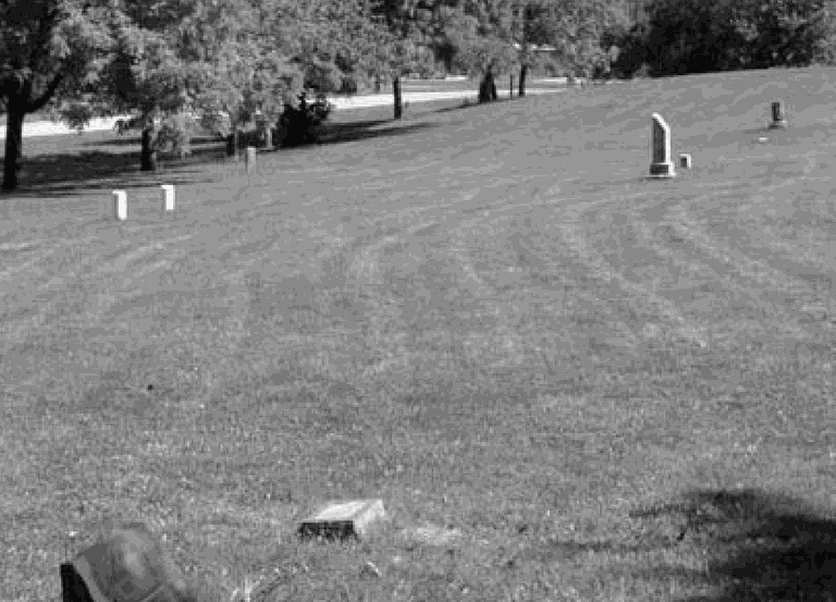 Black and white image of a large cemetery lawn. Less than 10 gravestones are visible - the image is mostly mowed grass.